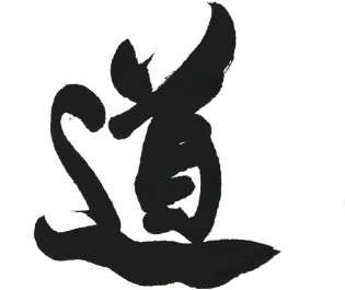 2008年中国农业大学土地管理考研真题